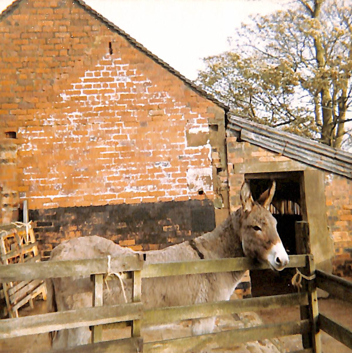 returnimage.cgi/10044/700