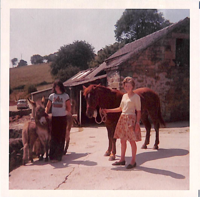 returnimage.cgi/10046/700