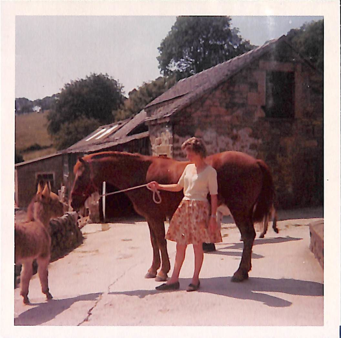 returnimage.cgi/10050/700