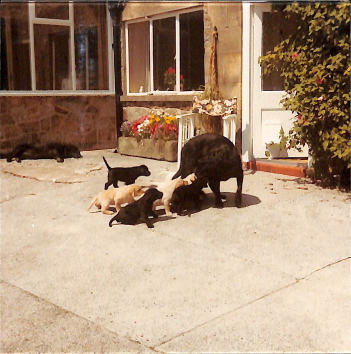 returnimage.cgi/10067/700