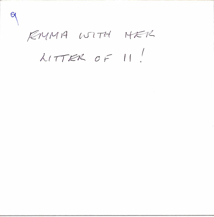 returnimage.cgi/10068/700