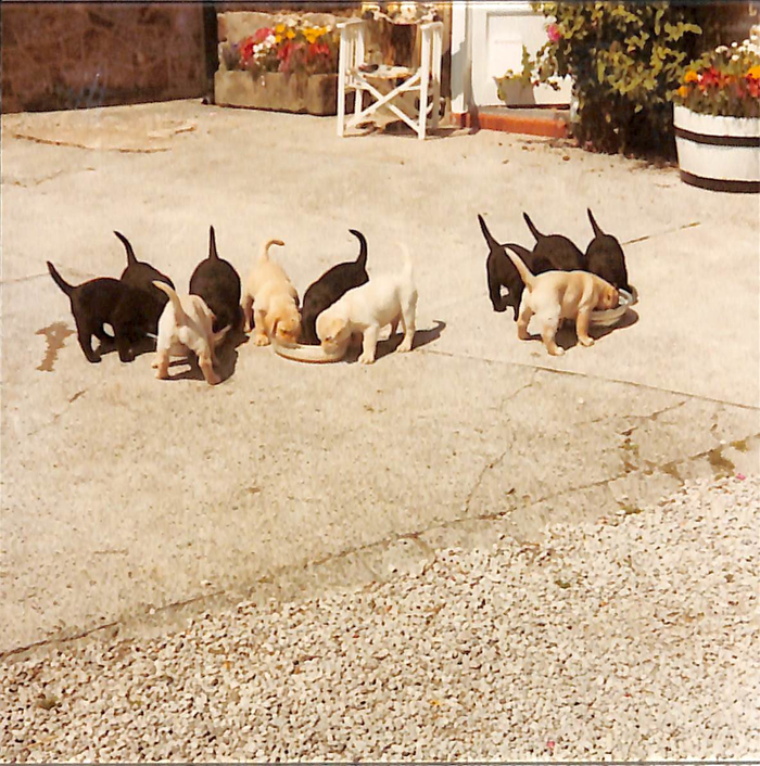 returnimage.cgi/10069/700