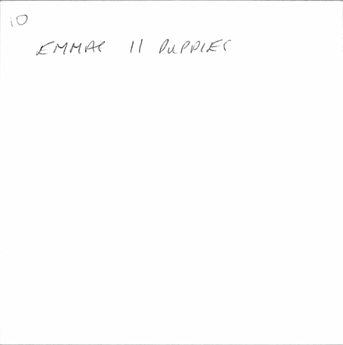 returnimage.cgi/10070/700