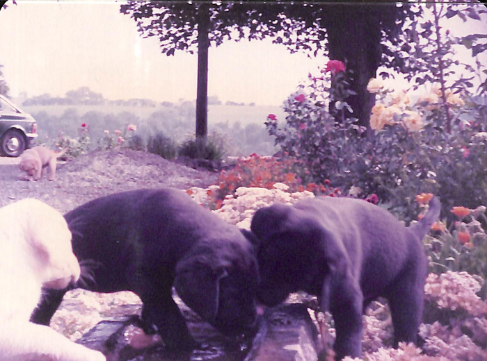 returnimage.cgi/10075/700