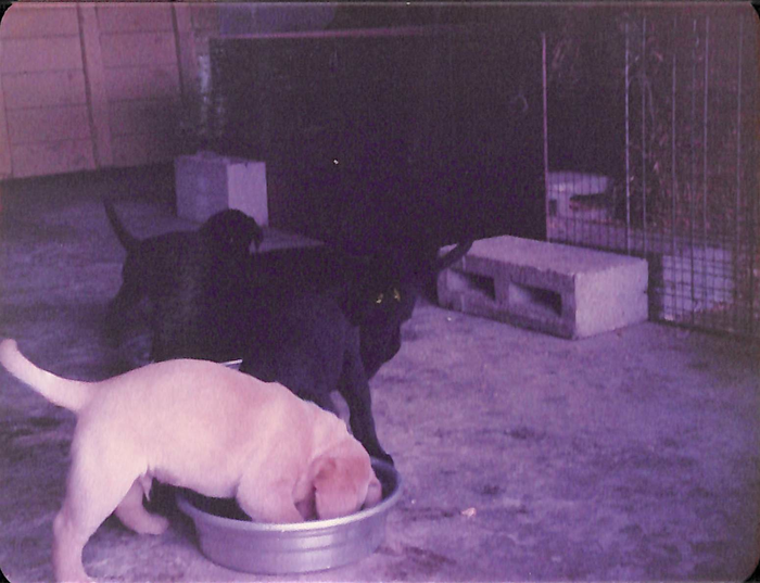 returnimage.cgi/10076/700