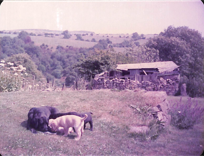 returnimage.cgi/10077/700