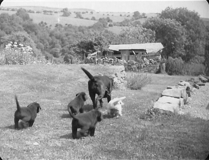 returnimage.cgi/10078/700