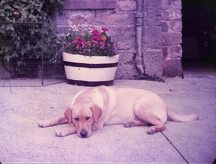 returnimage.cgi/10079/700