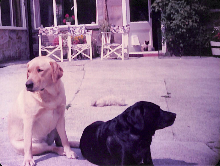 returnimage.cgi/10080/700