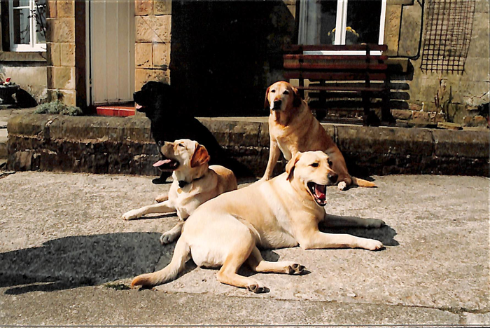 returnimage.cgi/10089/700