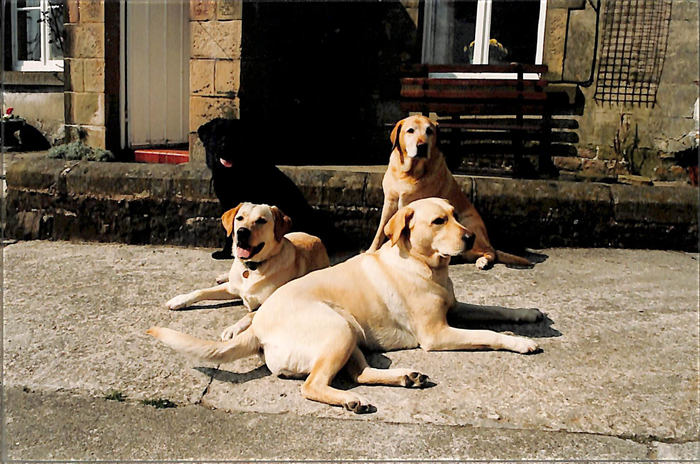 returnimage.cgi/10091/700