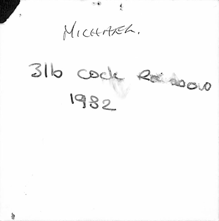 returnimage.cgi/10094/700