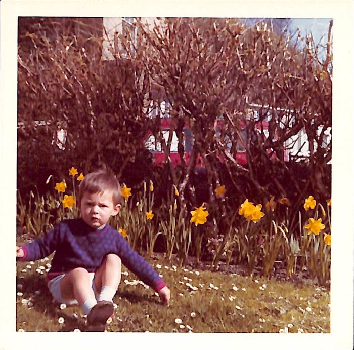 returnimage.cgi/10113/700