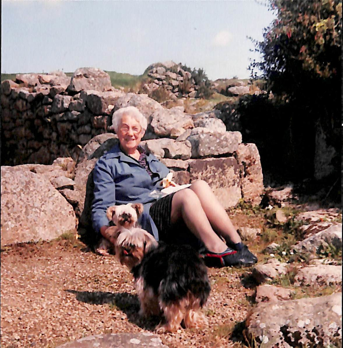 returnimage.cgi/10133/700