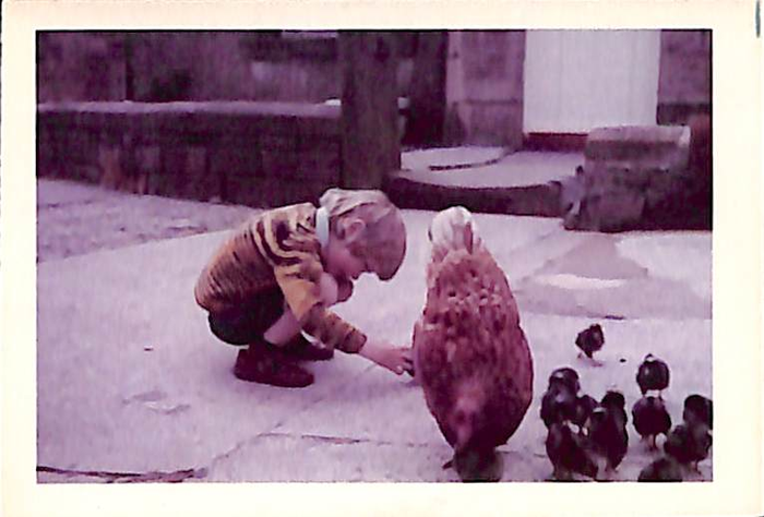 returnimage.cgi/10139/700