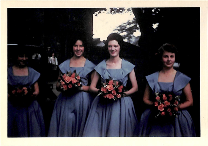 returnimage.cgi/10152/700