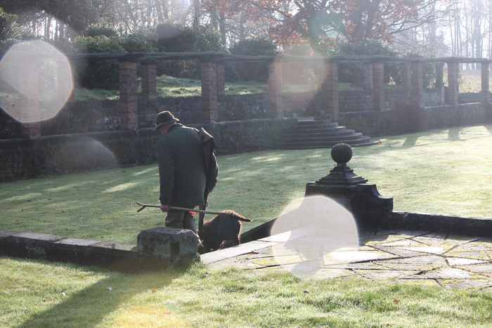 returnimage.cgi/10770/700