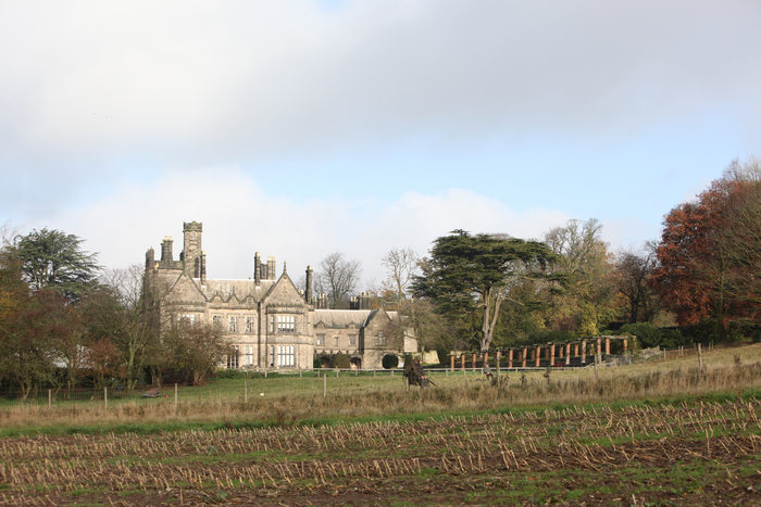 returnimage.cgi/10781/700