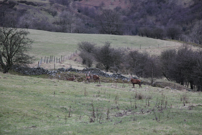 returnimage.cgi/16853/700