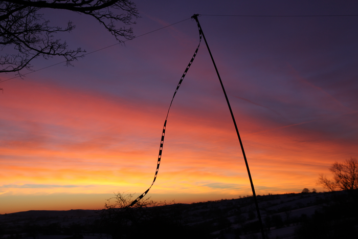 returnimage.cgi/16856/700