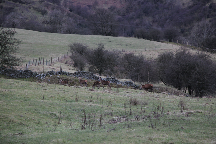 returnimage.cgi/16863/700