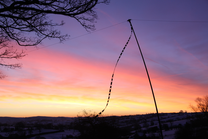 returnimage.cgi/16877/700