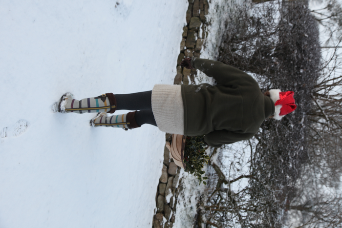 returnimage.cgi/16880/700