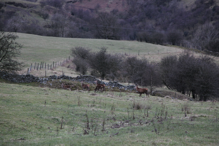 returnimage.cgi/16883/700