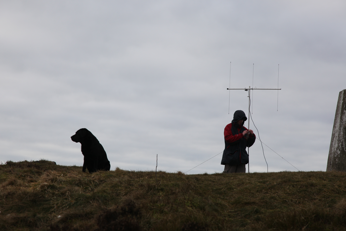 returnimage.cgi/16884/700