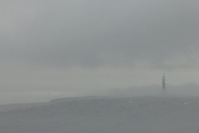 returnimage.cgi/16899/700