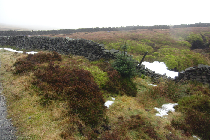 returnimage.cgi/16901/700