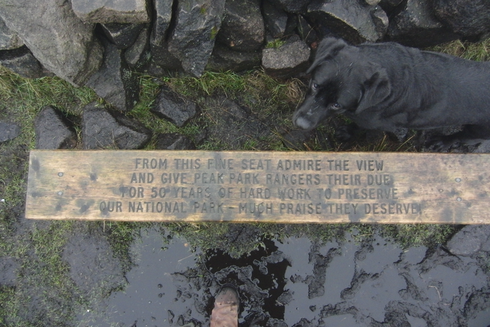 returnimage.cgi/16904/700