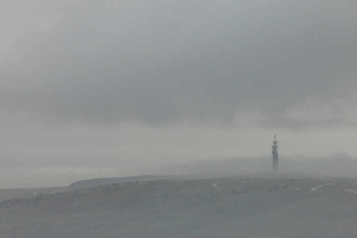 returnimage.cgi/16907/700