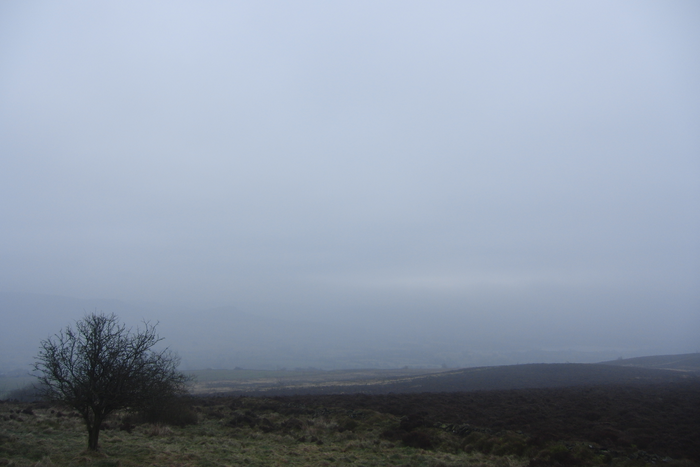 returnimage.cgi/16916/700