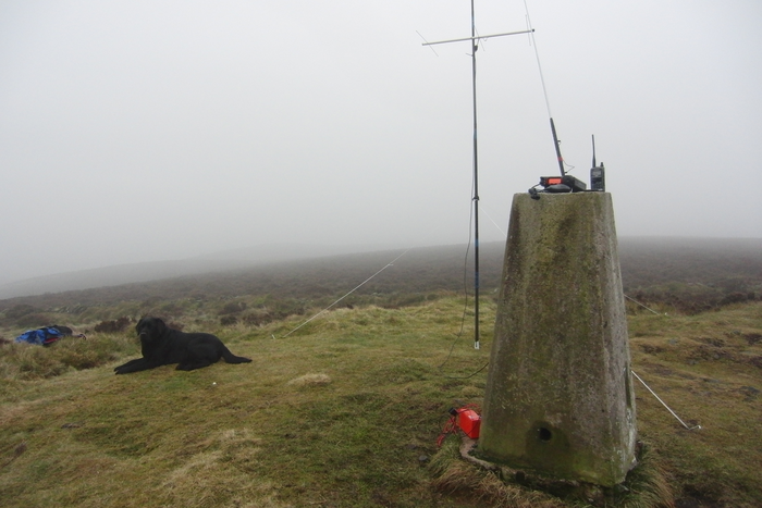 returnimage.cgi/16917/700