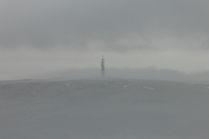 returnimage.cgi/16931/700