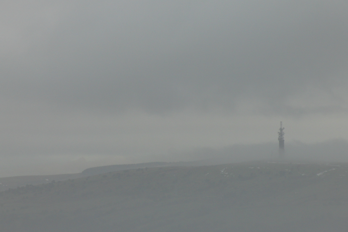 returnimage.cgi/16934/700