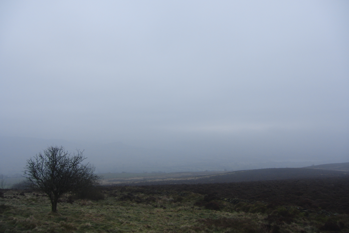 returnimage.cgi/16940/700