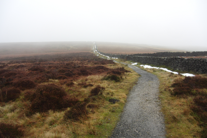 returnimage.cgi/16941/700