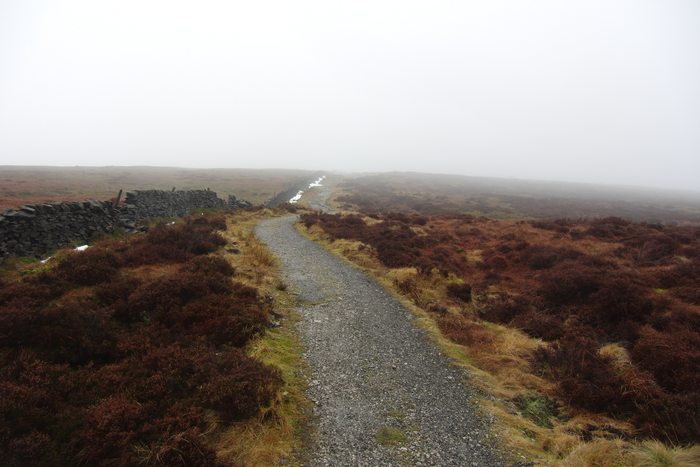 returnimage.cgi/16945/700