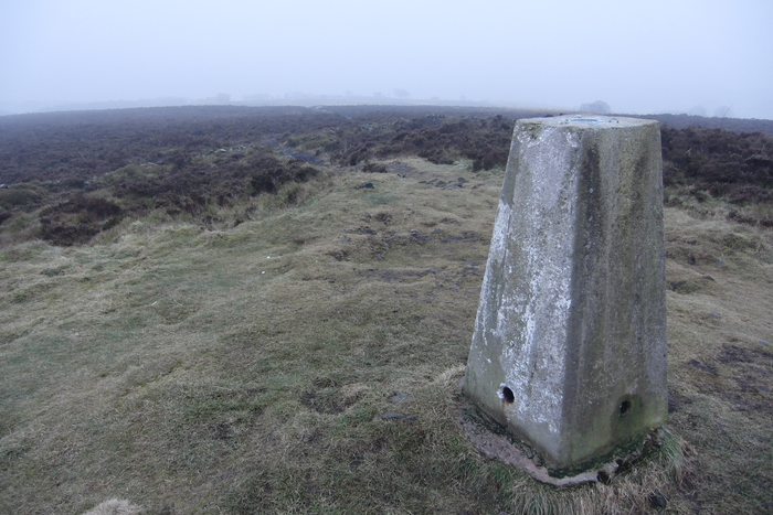 returnimage.cgi/16949/700