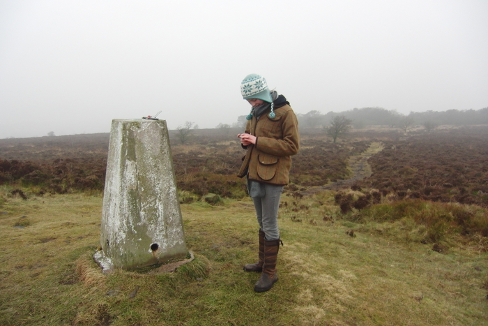 returnimage.cgi/16953/700