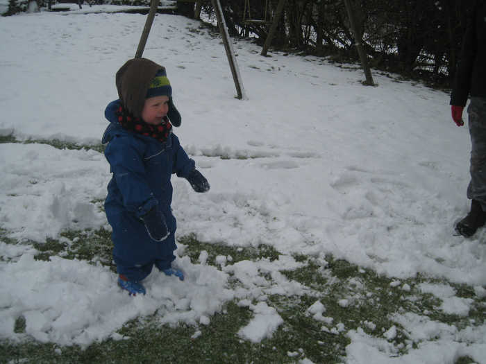 returnimage.cgi/16978/700