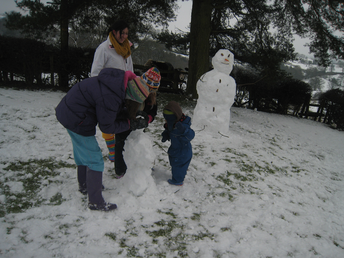 returnimage.cgi/16979/700