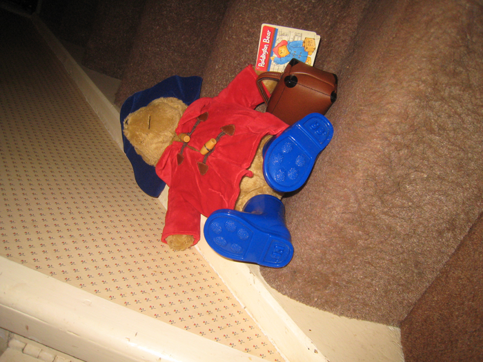 returnimage.cgi/16982/700