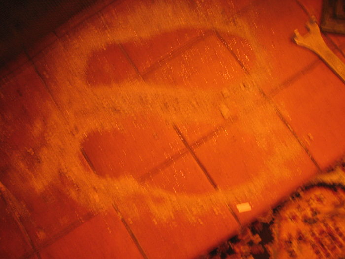 returnimage.cgi/16986/700