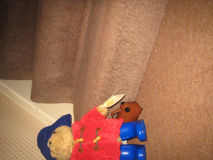 returnimage.cgi/16988/700