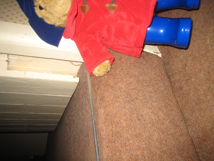 returnimage.cgi/16991/700