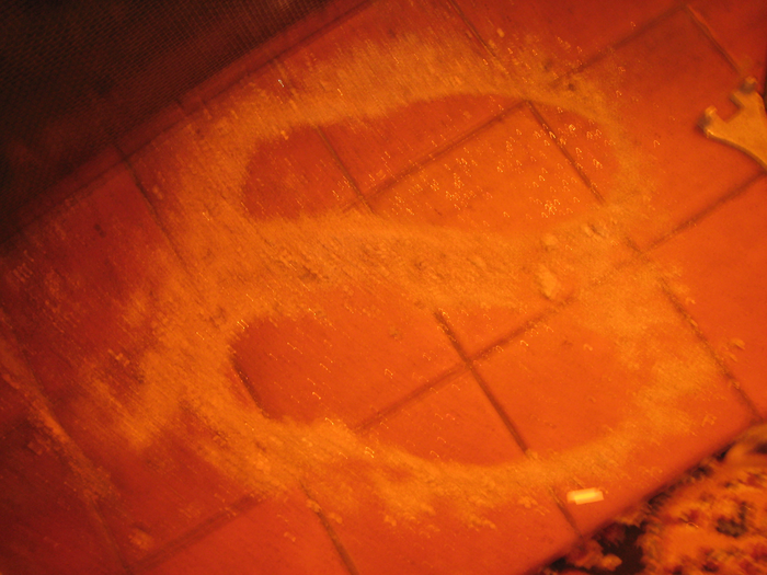 returnimage.cgi/16993/700