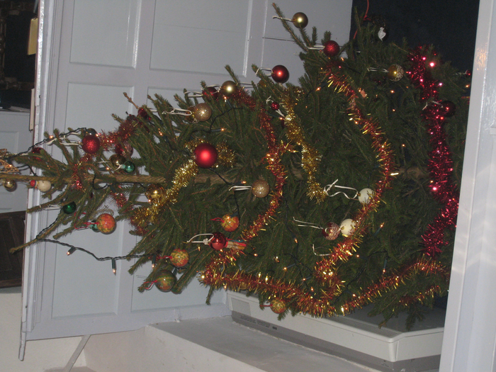 returnimage.cgi/16996/700